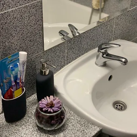 Apartment Vuk *